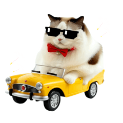 Aifeiler_20260209062806