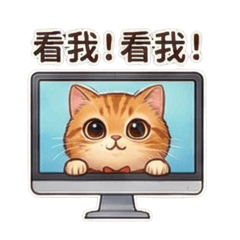 傲嬌橘貓：不理你，就是要吵你