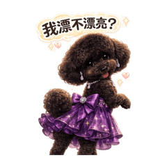 《紅黑貴賓的雙面可愛日常》