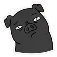 動物日常俱樂部-黑毛豬