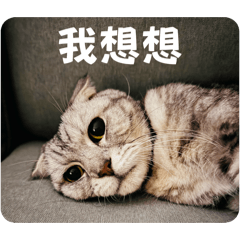 ♡我是黃小吉♡/