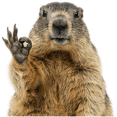 Marmot (Realistic)
