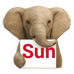 日程用.英単語.曜日/月/数字①動物好き便利