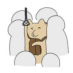 西藏狐狸的一天好吃力