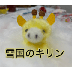 akarinchodaikon_20260207203215