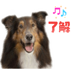 K_20260207232316