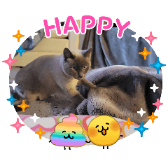 Yum yum's sticker time!