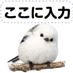 シマエナガの可愛いメッセージスタンプ