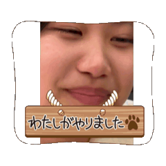 koguma_20260211001229