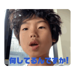 Koko_20260211084841