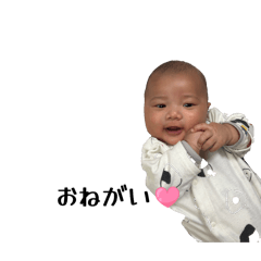 kuuto_20260210010824