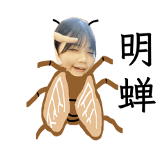 misaki_20260210005506