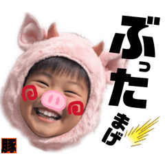 kykmcpm_20260210005834