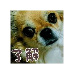 taranbo_20260210195102