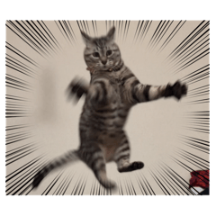 nyanta_20260210195507