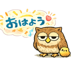 sora mi_20260210195652