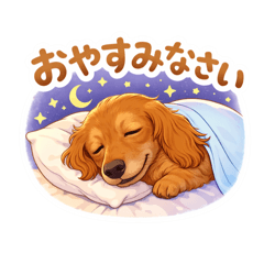 pitta_20260210202054