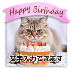 文字入力OK♥猫ネコ誕生日カード