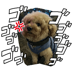 marumaru_20260210202633