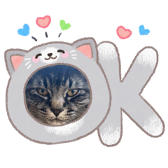 Ohamaney_20260210210124