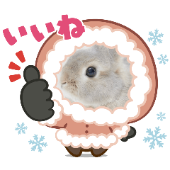runa_20260210215928
