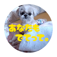 chura_20260210211110