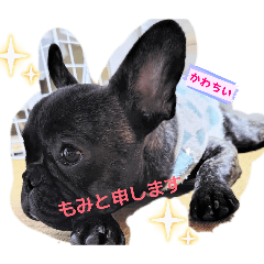 pichan_20260210205952