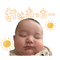 sakemaru_20260210015803