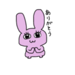 momo_20260210123050