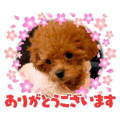 Kaori_20260210130247