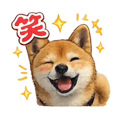 Roy726_20260210131016