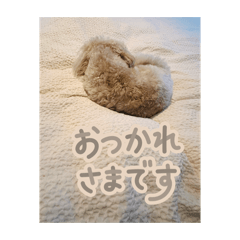 Ponta_20260211085031