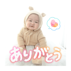 rei_20260210021616