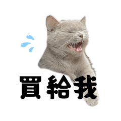 寶貝伊伊的日常1