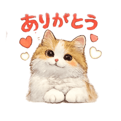 KENTA_20260209232235