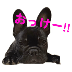 monsieur_20260210004831