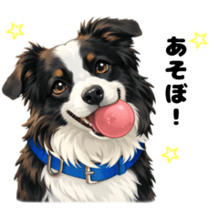 Border Collie Sora Daily Stickers