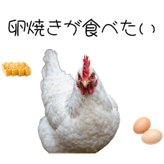 Funny animal LINE stickers1