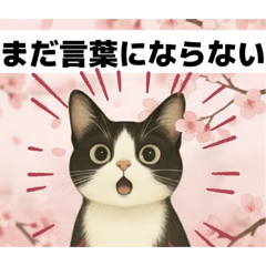 odayakamaigo_20260210014144