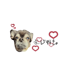 asuka_20260210042705