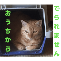 poe lovers_20260210083441