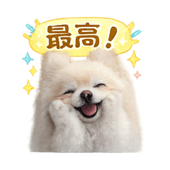 ankoromochi_20260210104824