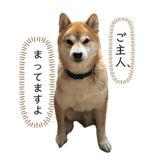 Takagi_20260210105423