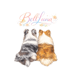 bellmam_20260210090650