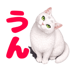 kakanon_20260210110216