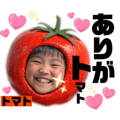 kykmcpm_20260210104905