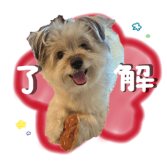 coconut_20260210104900