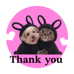 suzu_20260210193340