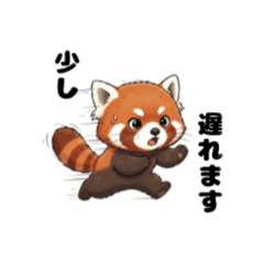 Jpmama_20260210091903