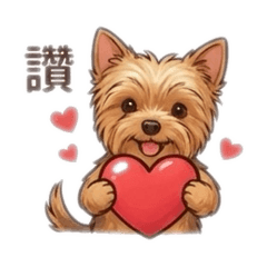 日常有咚咚，聊天不放空！